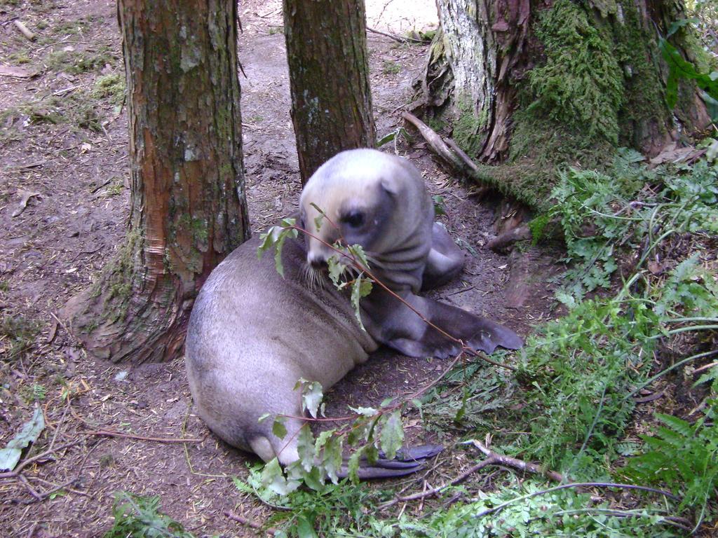 Catlins Newhaven Holiday Park Owaka Eksteriør bilde