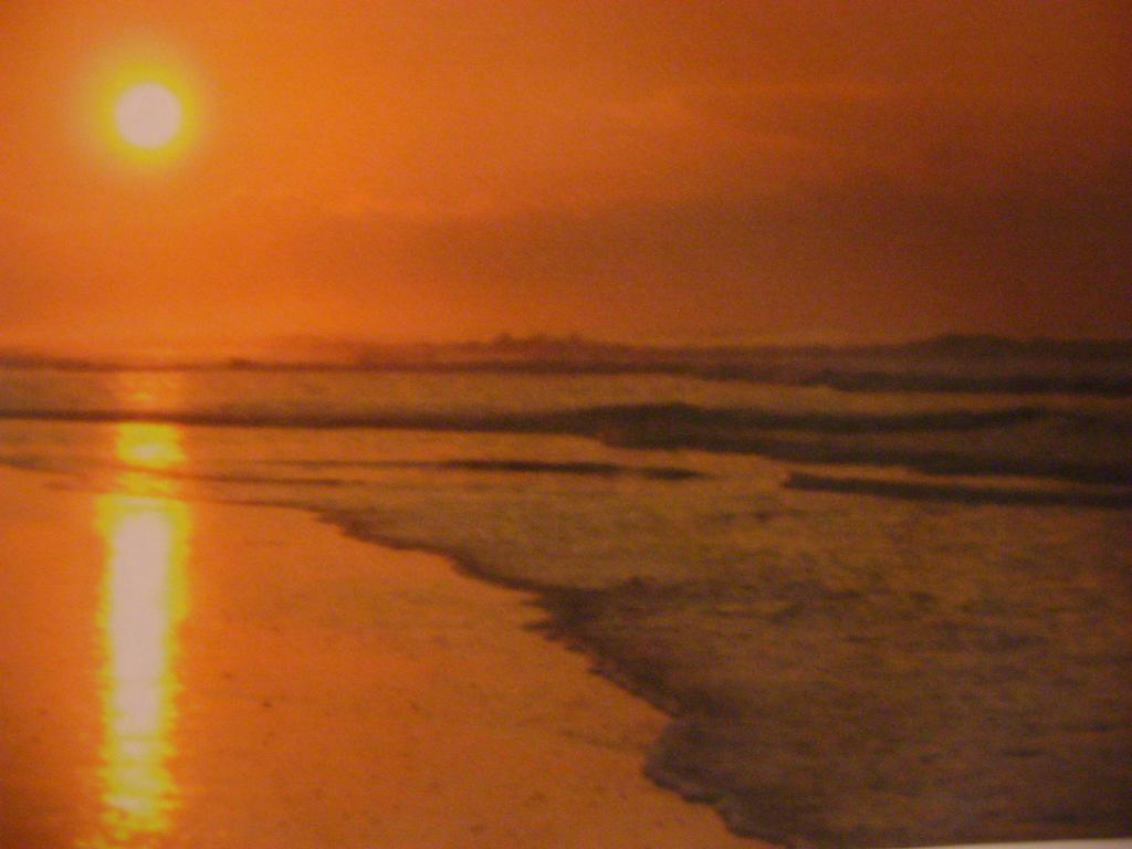 Catlins Newhaven Holiday Park Owaka Rom bilde