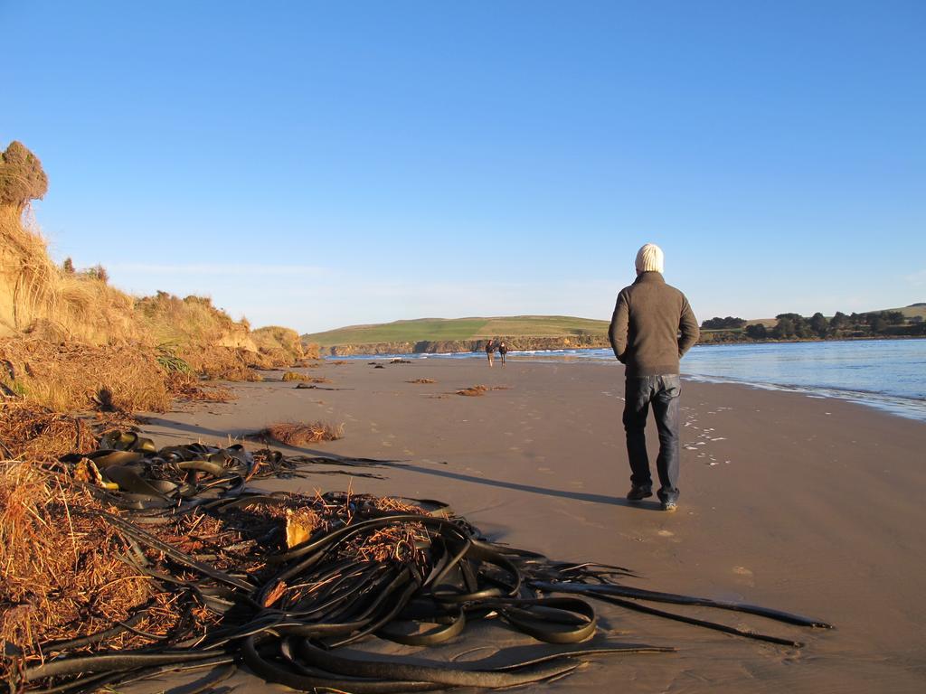 Catlins Newhaven Holiday Park Owaka Rom bilde