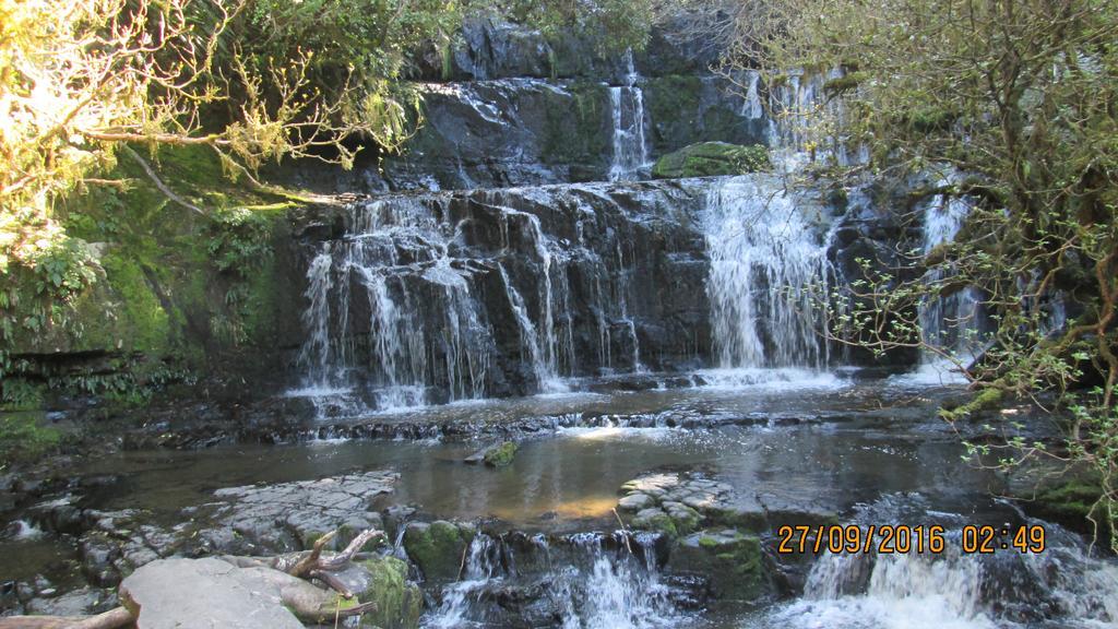 Catlins Newhaven Holiday Park Owaka Eksteriør bilde