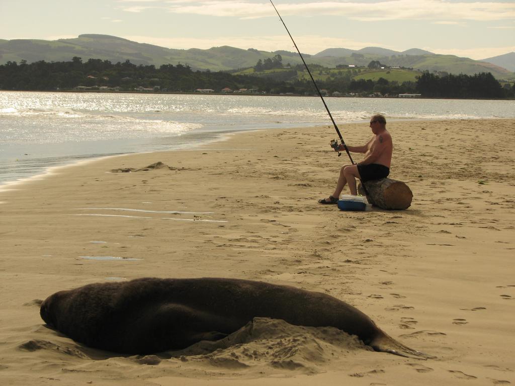 Catlins Newhaven Holiday Park Owaka Eksteriør bilde