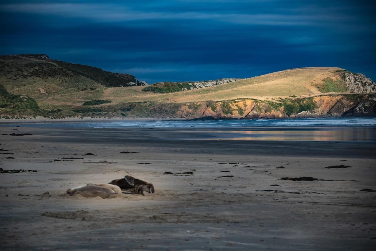 Catlins Newhaven Holiday Park Owaka Eksteriør bilde
